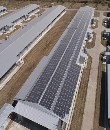solar d solar cell Cargill Meats (thailand) Limited, Phetchabun